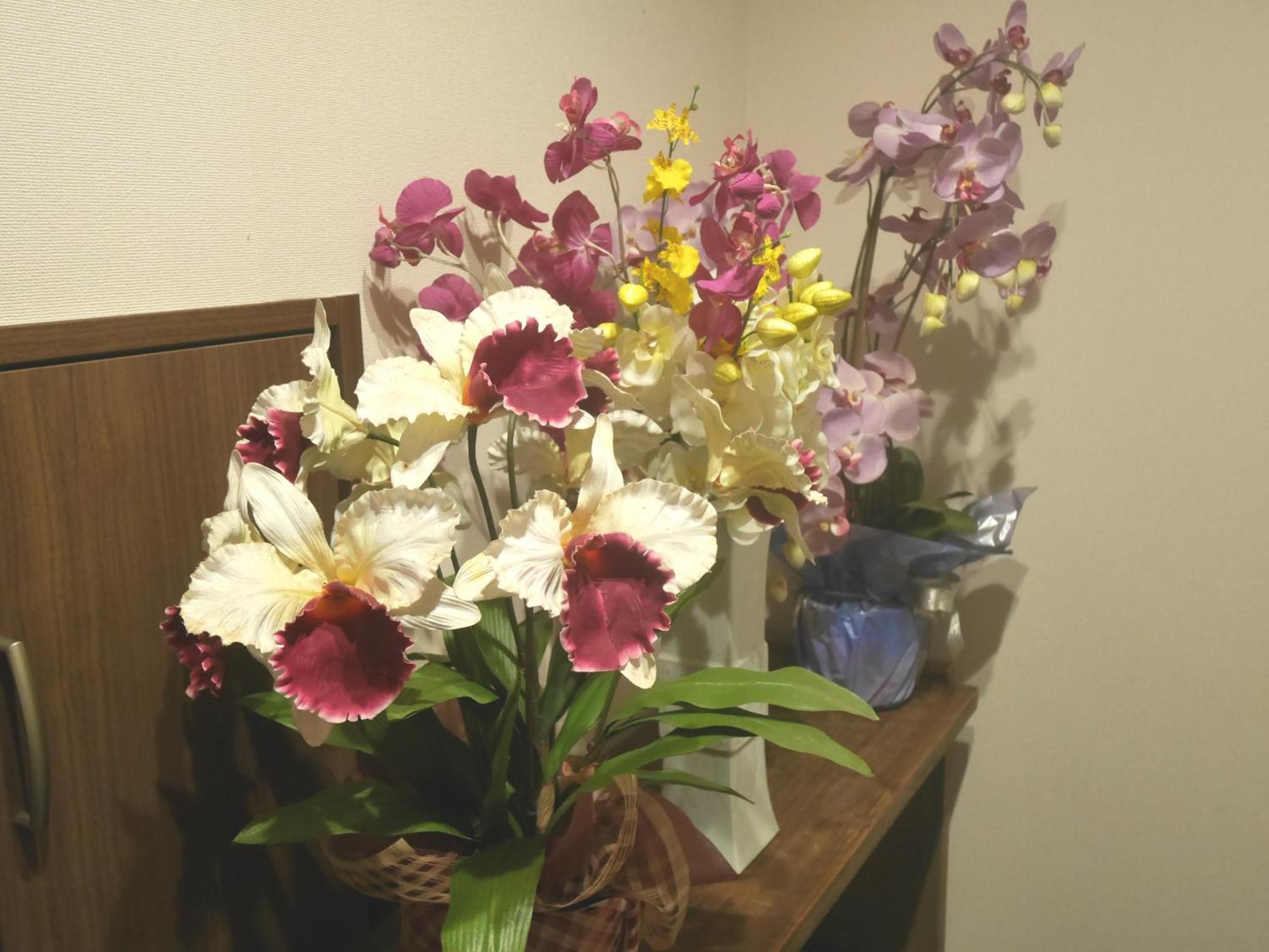 Guesthouse Grande今宮駅前 Osaka Bagian luar foto